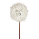 Cottage Garden Stem Artificial White Dandelion Artificial, 35"H, Program