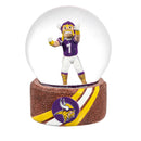 Water Globe, Minnesota Vikings