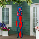 Boston Red Sox Windsock