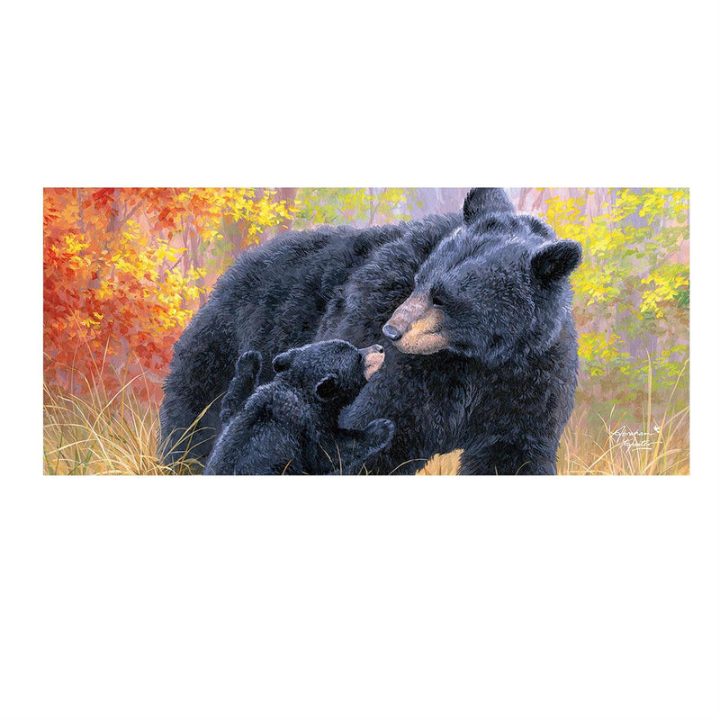 Bear Kisses Sassafras Switch Mat
