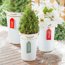 Holiday Poinsettia Planter, French Bucket with Holiday Tag, Set of 3