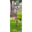36" Rust Colored Wildflower Garden Stake, 3 Asst, 2 of Each, 6 Piece CDU