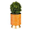 Multi-Color Metal Planters with Gold Base, Nested Set of 3