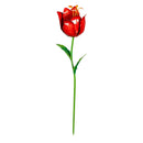 What She Shed Garden Stake, Tulip, Asst of 4, CDU