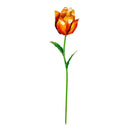 What She Shed Garden Stake, Tulip, Asst of 4, CDU