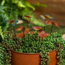 Pollinator Garden Sake, Butterfly Plant Pick with Metal Bucket Display Program, 16"