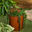 Pollinator Garden Sake, Butterfly Plant Pick with Metal Bucket Display Program, 16"