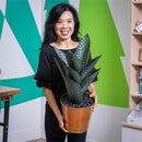 Metal Aloe Plant with Copper Pot, 17"H