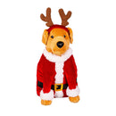 Heartfelt Cheer Pillow Shaped Christmas Dog Program, 15.5", Asst of 5