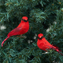 Cardinal Clip Ornament, A/2