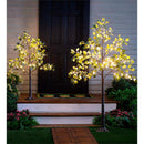 Small Lighted Eucalyptus Tree with 72 Lights