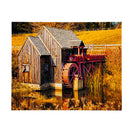 20"x16" Old Cabin Photography on Metal Wall Art