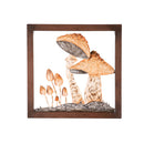 12" H x 12" L Shiny Metal Mushroom Wall Décor