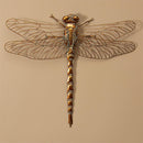 Pollinator Garden Indoor Wall Décor, Metal, Gold Dragonfly, 26" L x 23" H