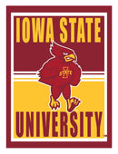 15.5"L x 11.5"H Medium Metal Wall Sign, Iowa State University,6m962usm
