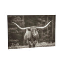 Outdoor Canvas Wall D√©cor, Longhorn, 36" L x 24" H
