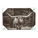 Outdoor Canvas Wall D√©cor, Longhorn, 36" L x 24" H