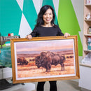 Bison Wooden Wall D√©cor, 23.5"H x 36"L