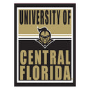 15.5"L x 11.5"H Medium Metal Wall Sign, University of Central Florida