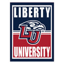 15.5"L x 11.5"H Medium Metal Wall Sign, Liberty University