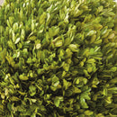 NAPA Home & Garden Boxwood Ball Decor