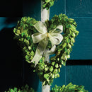 NAPA Home & Garden, BOXWOOD HEART WREATHS, SET OF 3,7517PG