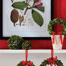 NAPA Home & Garden Boxwood Ball Decor