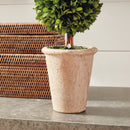 NAPA Home & Garden, BOXWOOD DOUBLE SPHERE TOPIARY