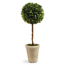 NAPA Home & Garden, BOXWOOD SINGLE SPHERE TOPIARY