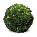 NAPA Home & Garden Boxwood Ball Decor