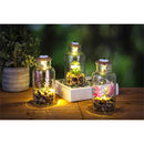 7" LED Glass Jar with floral in CDU
