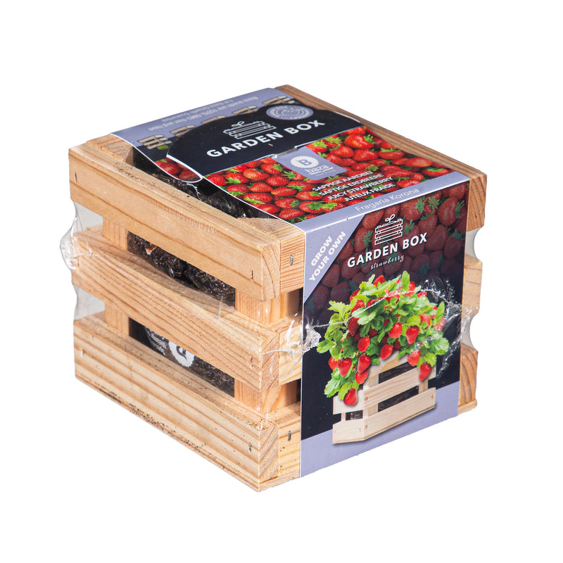 Strawberry Grow Kit in Wooden Crate