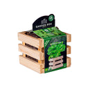 Herb Grow Kit in Wooden Crate