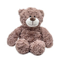 Evergreen Gifts,Heatable Warming Plush, Bear,13.7x9x3.5 Inches