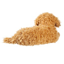 12" Plush Labradoodle