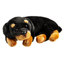 12" Plush Rottweiler