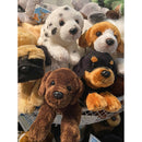 Evergreen Gifts,Rottweiler 8" Bean Bag,2.5x8x3 Inches