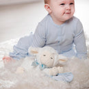 Pray with Me Blue Little Lamb