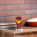 Lil Big Head Statue, Mascot, University of South Carolina,84954lbhm