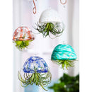 Art Glass Air Plant Décor, Red