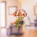 Art Glass Air Plant Décor, Red