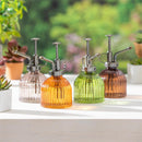 Neutrals Ribbed Glass Plant Mister, 4 Designs, 12 PC CDU
