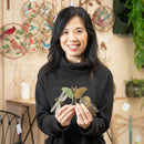 Garden of Wonder Plant Support & Accessories, Metal, Plant Accessory Sheet, Flying Friends