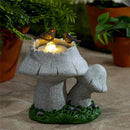 Birds on Mushroom Fountain