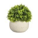 6.25" Green Floral Artificial in Stone Pot Table Décor