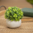 6.25" Green Floral Artificial in Stone Pot Table Décor