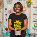 Faux Greenery Potted Florals, 3 ASST