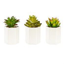 VivaStyle Faux Floral Table Décor, Succulent with Cream Cement Planter, Asst of 3, CDU