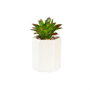 VivaStyle Faux Floral Table Décor, Succulent with Cream Cement Planter, Asst of 3, CDU