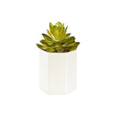 VivaStyle Faux Floral Table Décor, Succulent with Cream Cement Planter, Asst of 3, CDU